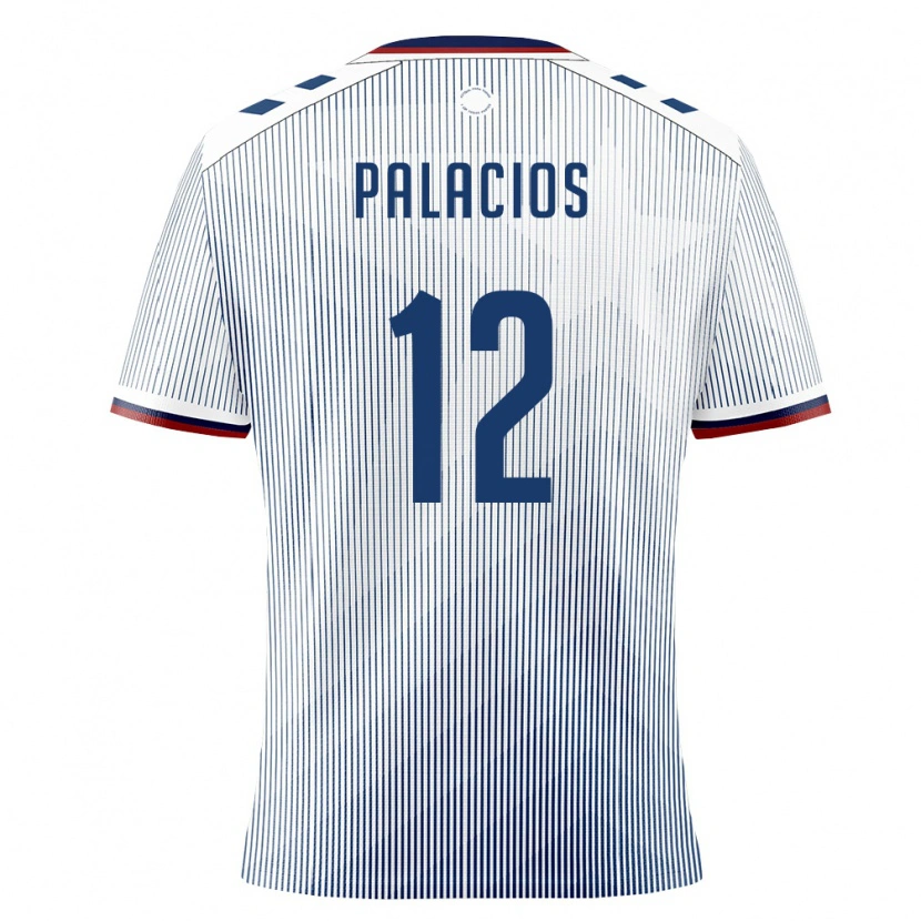 Danxen Hombre Camiseta Puerto Rico Denzel Palacios #12 Azul Real Blanco 2ª Equipación 26-28 La Camisa