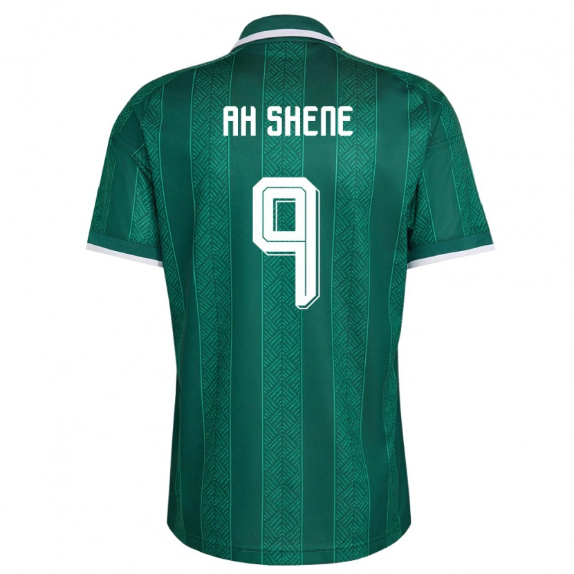 Danxen Mujer Camiseta Sudáfrica Jody Ah Shene #9 Verde Blanco Oro 2ª Equipación 26-28 La Camisa
