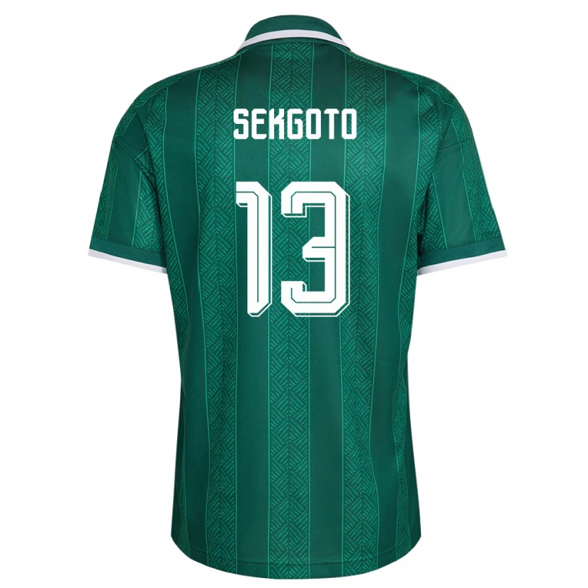 Danxen Mujer Camiseta Sudáfrica Omphemetse Sekgoto #13 Verde Blanco Oro 2ª Equipación 26-28 La Camisa