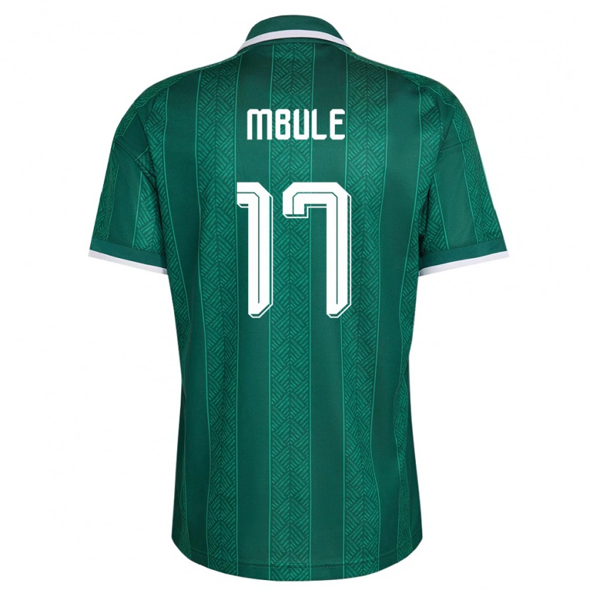 Danxen Mujer Camiseta Sudáfrica Sipho Mbule #17 Verde Blanco Oro 2ª Equipación 26-28 La Camisa