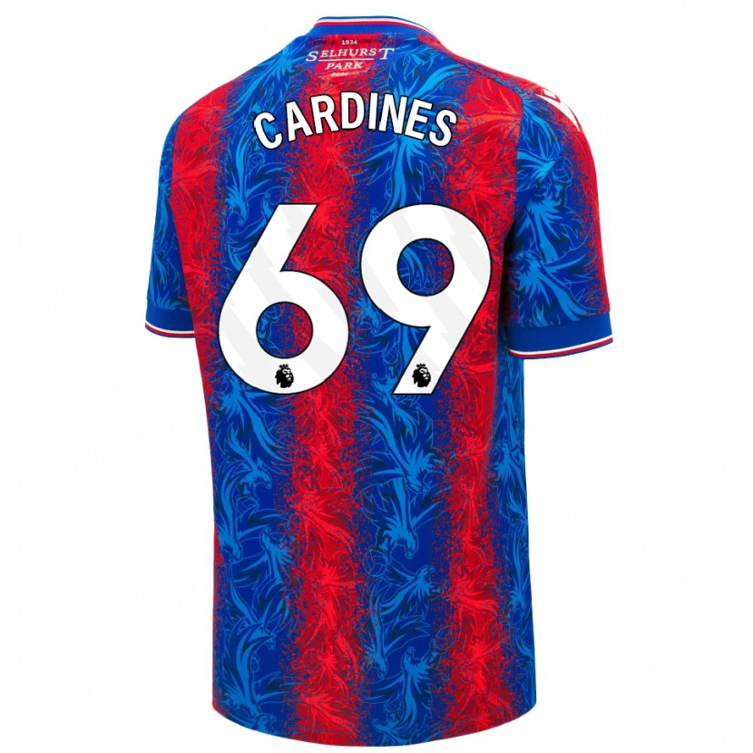 Danxen Niño Camiseta Rio Cardines #69 Rayas Rojas Y Azules 1ª Equipación 2024/25 La Camisa