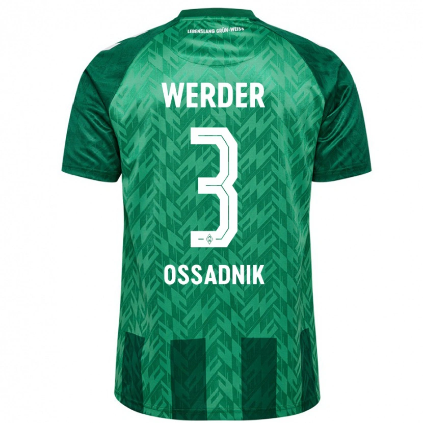 Danxen Niño Camiseta Jannes Ossadnik #3 Verde 1ª Equipación 2024/25 La Camisa