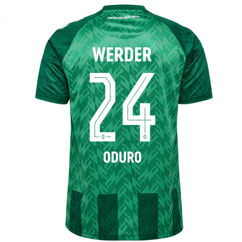 Danxen Hombre Camiseta Ricardo Oduro #24 Verde 1ª Equipación 2024/25 La Camisa