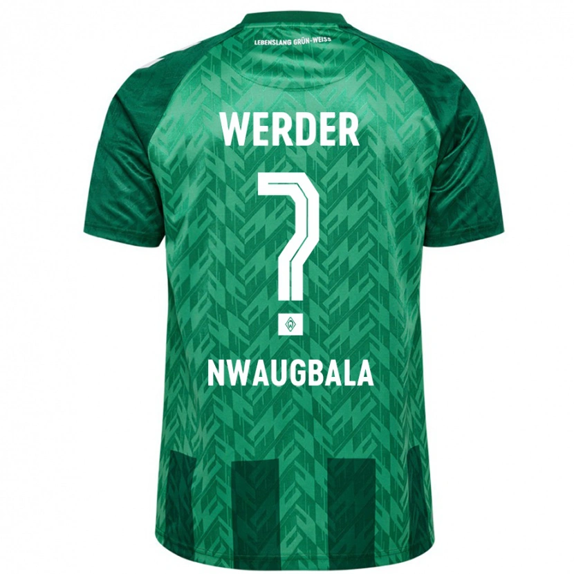 Danxen Mujer Camiseta Kevin Nwaugbala #0 Verde 1ª Equipación 2024/25 La Camisa